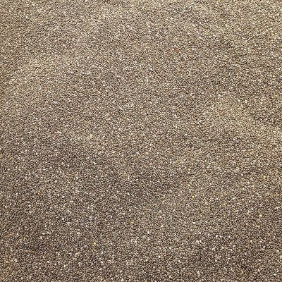 Chia seed